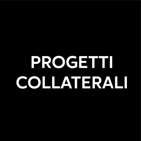 Progetti collaterali
